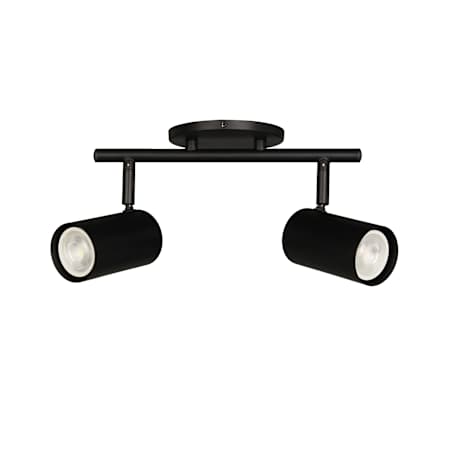 Dainolite Taylor 2 Light 15" Wide Fixed Rail Ceiling Fixture Matte Black