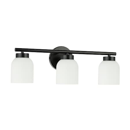 Dainolite Vonda 3 Light 21" Wide LED Vanity Light Matte Black