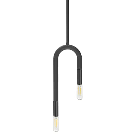 Dainolite Wand 2 Light 5" Wide Mini Pendant Matte Black