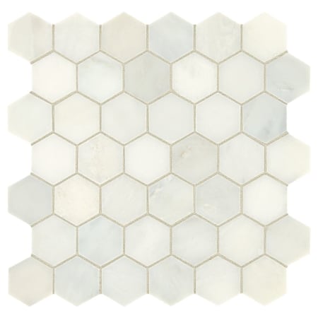 Daltile Marble - 2" x 2" Hexagon Floor and Wall Tile - Polished Visual - Sold by Sheet (1 SF/Sheet) First Snow Elegance
