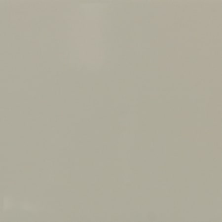 Daltile Sample Only of 4161P Matte Architectural Gray