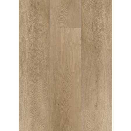 Daltile Sample Only of AB97120L65MSX Hearth