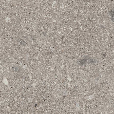 Daltile Sample Only of AS30301P Magistrate