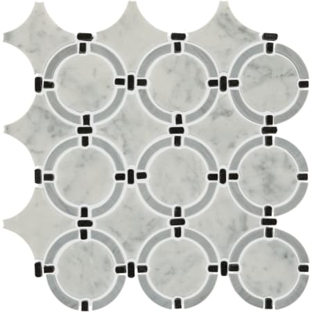 Daltile Sample Only of LNKRINGMS1U Cirrus Storm Blend