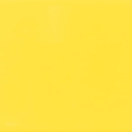 Daltile Sample Only of H36MOD1P Sunflower