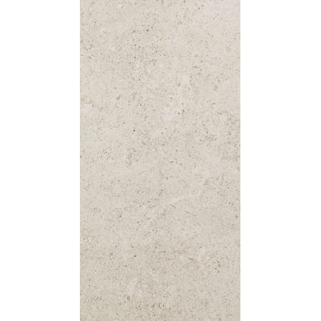 Daltile Dignitary - 24" x 48" Rectangle Floor and Wall Tile - Matte Visual - Sold by Carton (15.5 SF/Carton) Luminary White