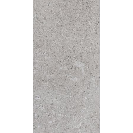 Daltile Dignitary - 12" x 24" Rectangle Floor and Wall Tile - Matte Visual - Sold by Carton (15.12 SF/Carton) Eminence Gray