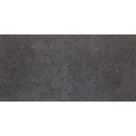 Daltile Dignitary - 12" x 24" Rectangle Floor and Wall Tile - Matte Visual - Sold by Carton (15.12 SF/Carton) Governor Black