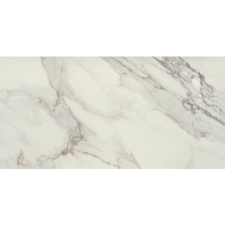 Daltile Famed - 12" x 24" Rectangle Floor and Wall Tile - Matte Visual - Sold by Carton (17.01 SF/Carton) Diamond