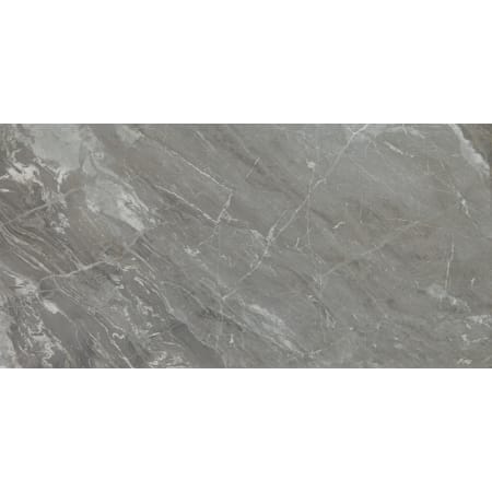 Daltile Famed - 12" x 24" Rectangle Floor and Wall Tile - Polished Visual - Sold by Carton (17.01 SF/Carton) Glamour