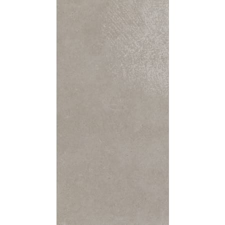 Daltile Haut Monde - 12" x 24" Rectangle Floor and Wall Tile - Light Polished Visual - Sold by Carton (15.12 SF/Carton) Elite Gray