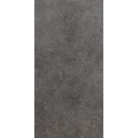 Daltile Haut Monde - 12" x 24" Rectangle Floor and Wall Tile - Unpolished Visual - Sold by Carton (15.12 SF/Carton) Empire Black