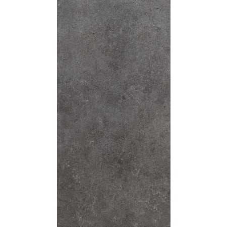 Daltile Sample Only of HM2448P Empire Black