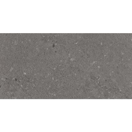 Daltile Loften 12" x 24" Embossed Vinyl Flooring - Sold by Carton (36 SF/Carton) Coal Limestone