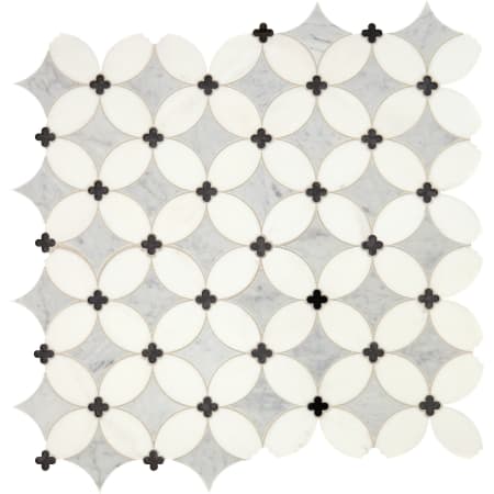 Carrara White / Thassos White