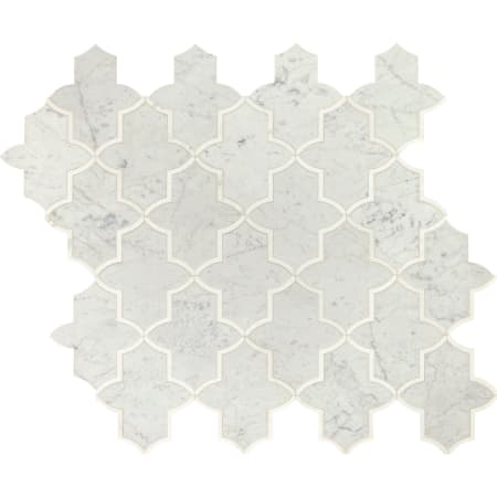Carrara White / Thassos White