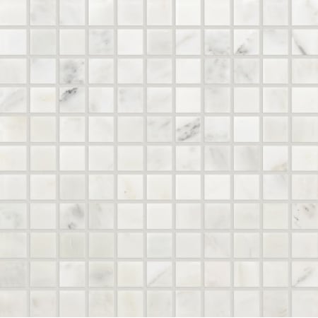 Daltile Marble - 1" x 1" Square Floor and Wall Tile - Honed Visual - Sold by Sheet (1 SF/Sheet) First Snow Elegance