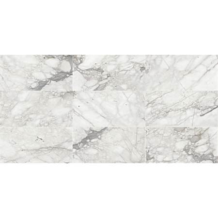 Daltile Marble - 12" x 24" Rectangle Floor and Wall Tile - Honed Visual - Sold by Carton (10 SF/Carton) Venetian Calacatta