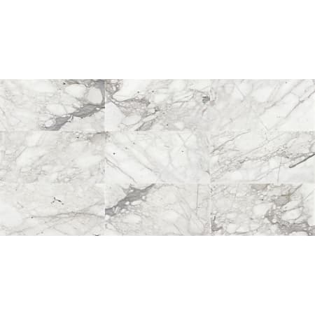 Daltile Sample Only of M1818U2S Venetian Calacatta