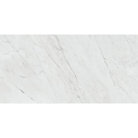 Daltile Marble Attache Lavish - 12" x 24" Rectangle Floor and Wall Tile - Satin Visual - Sold by Carton (9.69 SF/Carton) Diamond Carrara