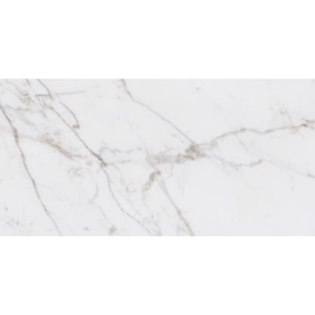 Daltile Marble Attache Lavish - 24" x 47" Rectangle Floor and Wall Tile - Satin Visual - Sold by Carton (15.26 SF/Carton) Golden Reverie