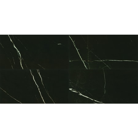 Daltile Marble Attache - 24" x 24" Square Wall Tile - Polished Visual - Sold by Carton (15.2 SF/Carton) Nero
