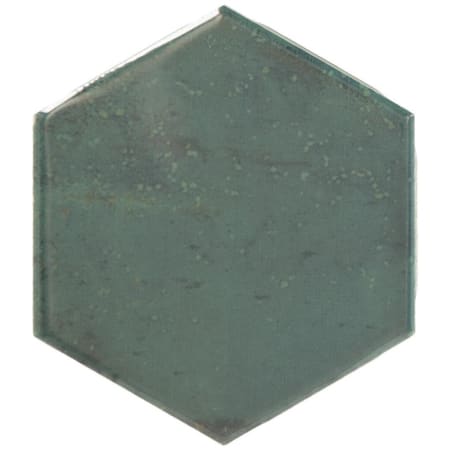 Alternate Image