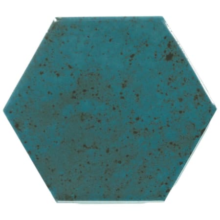 Alternate Image
