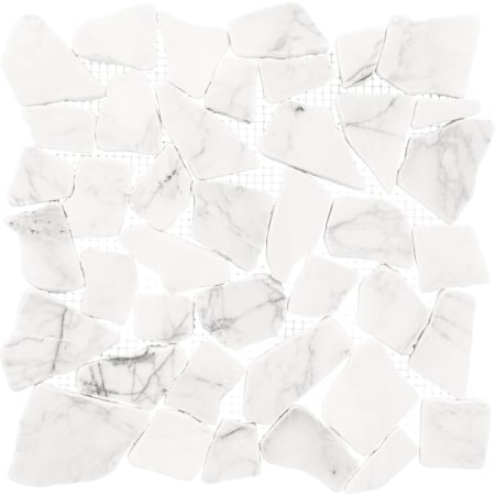 Alternate Image