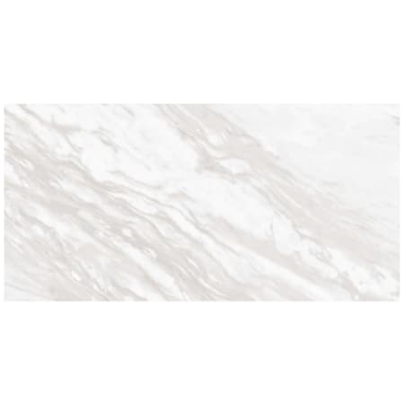 Daltile Sample Only of PT24241LF Timeless White