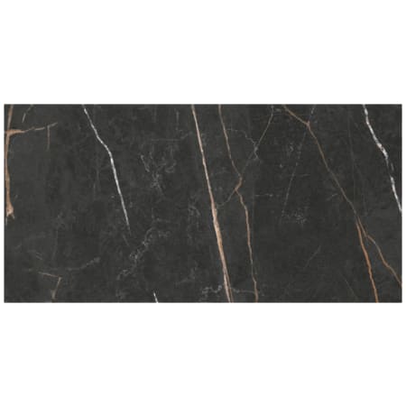 Daltile Sample Only of PT1224A1PF INFINITE BLACK