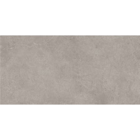 Daltile Rhetoric - 12" x 24" Rectangle Floor and Wall Tile - Matte Visual - Sold by Carton (17.6 SF/Carton) Eloquent Gray