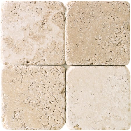 Mediterranean Ivory