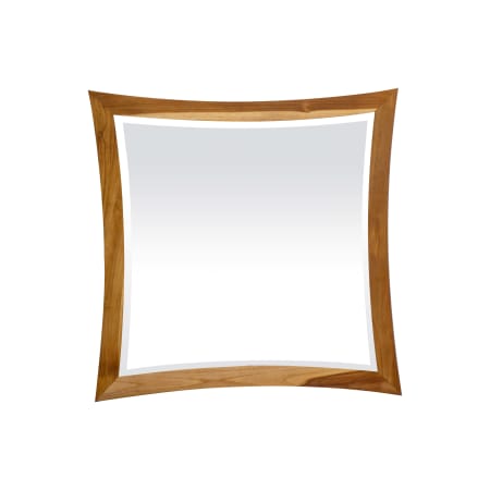 EarthyTeak