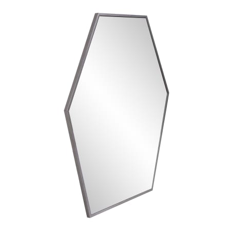Angled View