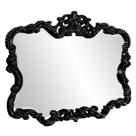 Alternate View