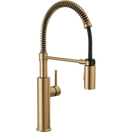 Champagne Bronze