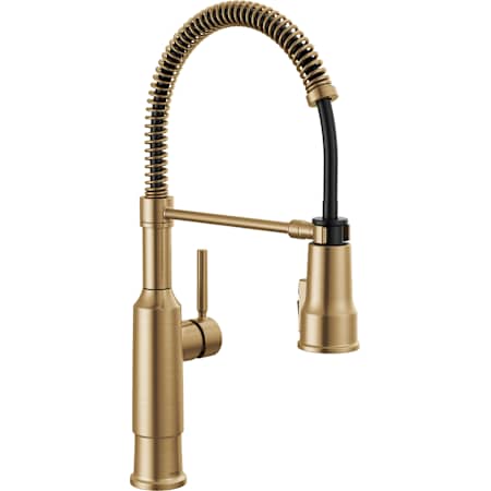 Delta Theodora 1.8 GPM Single Hole Pre-Rinse Pull Down Kitchen Faucet - Includes Escutcheon Champagne Bronze