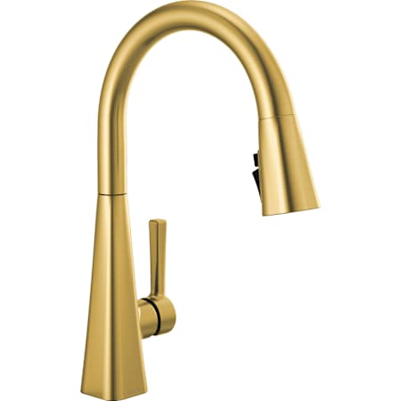 Delta Lenta Single-Handle Pull-Down Kitchen Faucet with ShieldSpray Brushed Gold