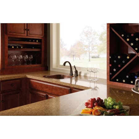 Delta-1980T-Installed Faucet in Venetian Bronze