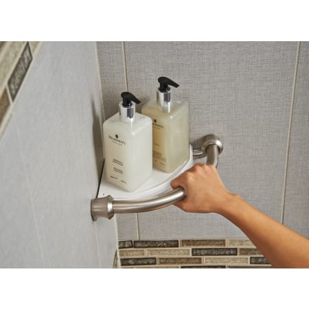 Delta-41316-Shower Shelf Assist Bar in Brilliance Stainless