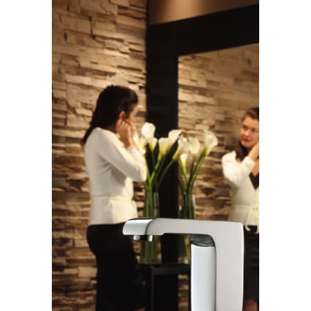 Delta-600T050-Installed Faucet in Chrome with Model