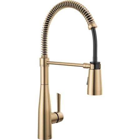 Champagne Bronze