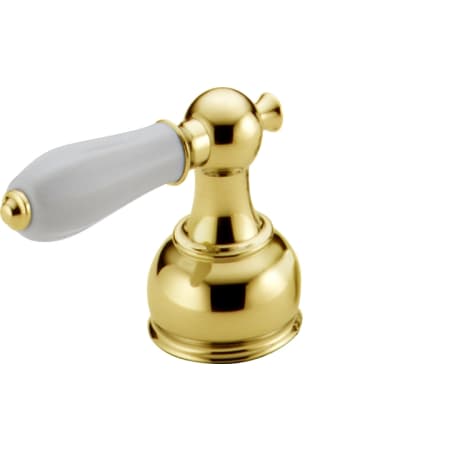 Polished Brass