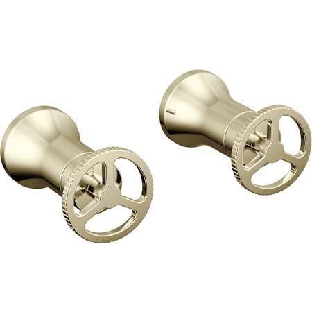 Brilliance Polished Nickel