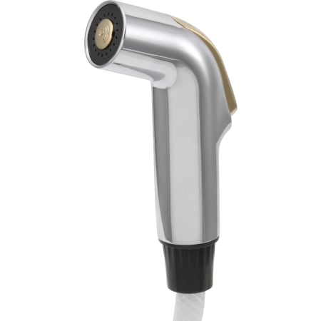 Delta Spray and Hose Assembly for Kitchen Faucets Chrome / Polished Brass