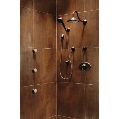 Delta-RP34356-Installed Shower System in Venetian Bronze