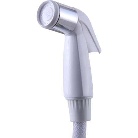 Delta White with Chrome Band Spray and Hose Assembly na