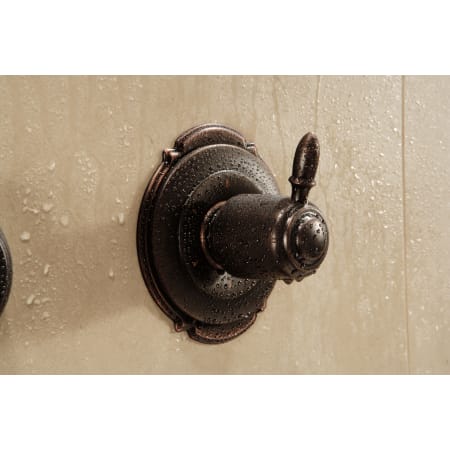 Delta-T11955-Installed Valve Trim in Venetian Bronze