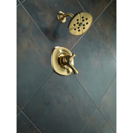 Delta-T17292-Installed Shower Trim in Champagne Bronze